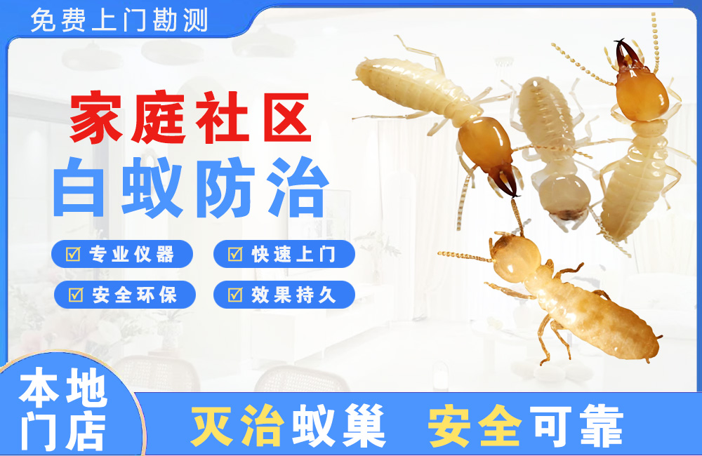 武汉家庭社区白蚁防治