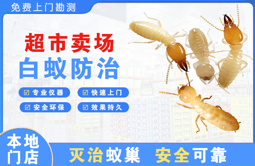 武汉超市卖场白蚁防治