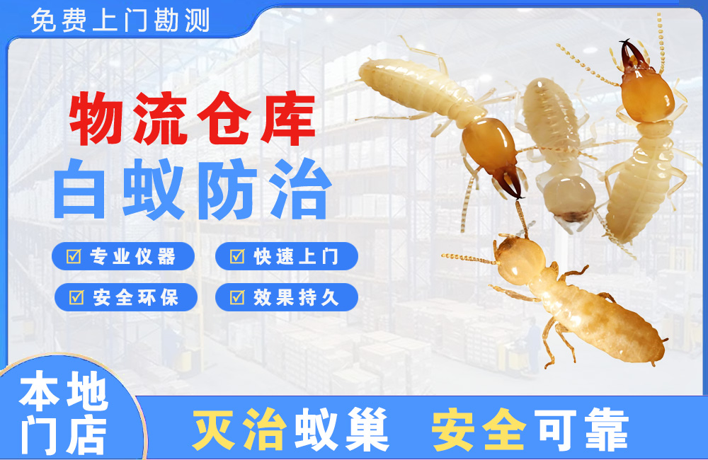 武汉物流仓库白蚁防治