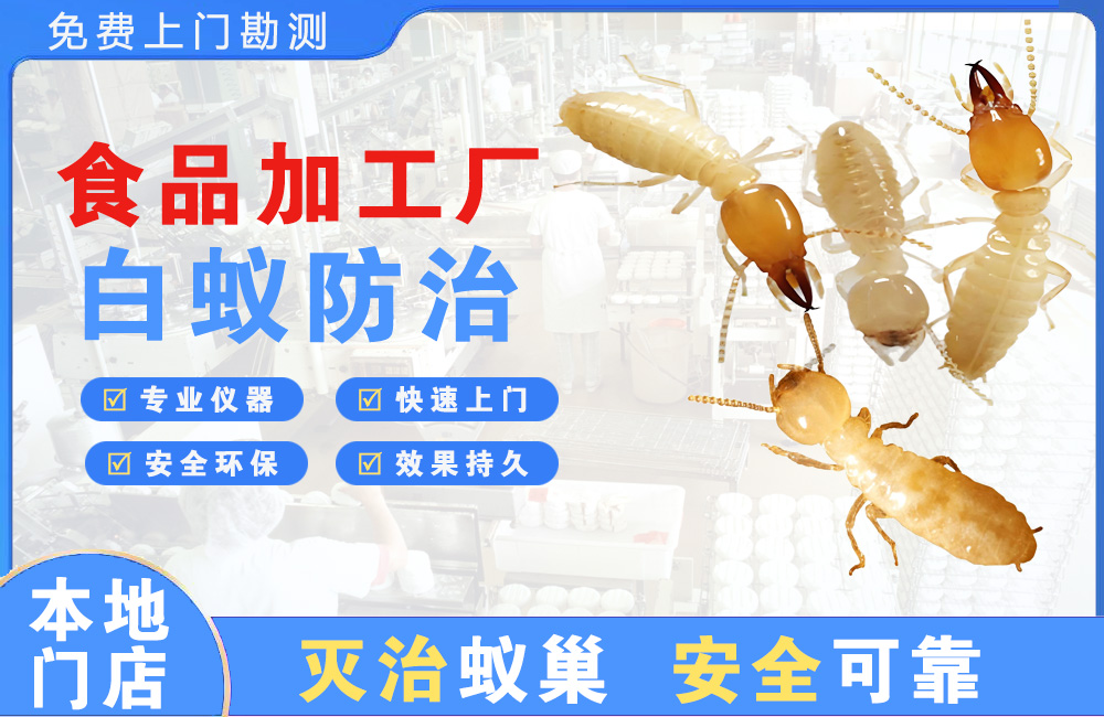 武汉食品加工厂白蚁防治