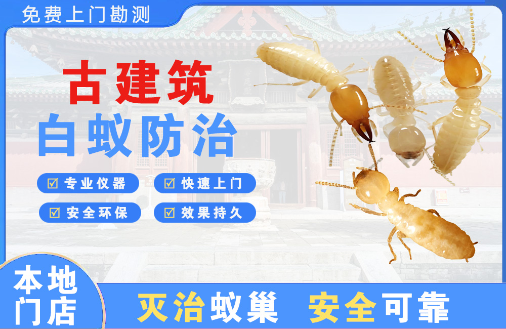 武汉古建筑白蚁防治