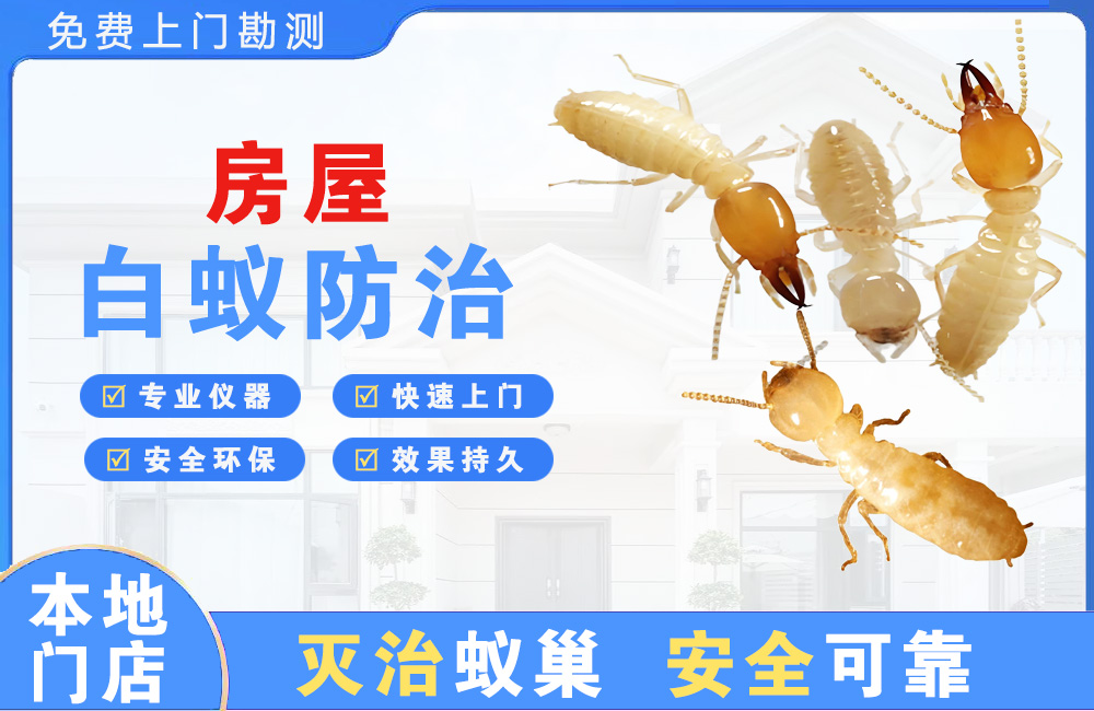 武汉房屋白蚁防治