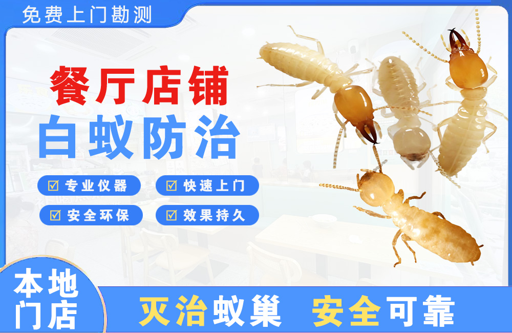 武汉餐厅店铺白蚁防治
